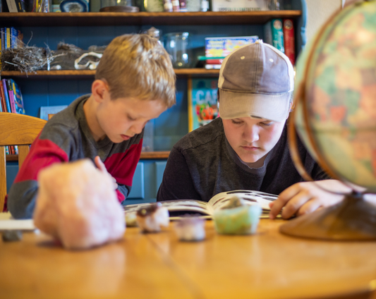 Planning Your Homeschool Year: 4 Lessons From 26 Years and 5 Kids